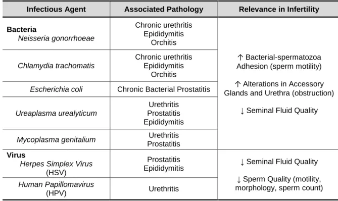 Table III – Most prevalent pathogens associated to urogenital infections and male infertility.