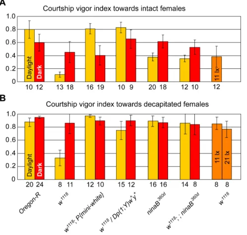 Figure 3. Lack of extra-retinal White function influences sexual orientation of males