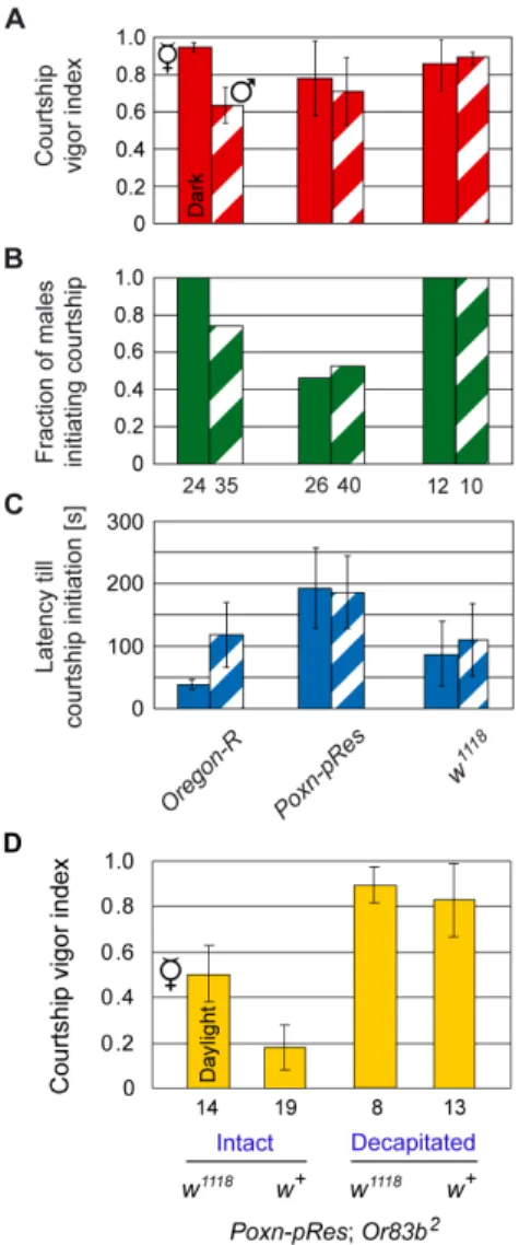 Figure 5. Increased sexual arousal of w 1118 males. (A–C) Male courtship parameters, the courtship vigor index (A), the fraction of males initiating courtship (B), and the average latency (in seconds) till courtship initiation (C), were measured in single-