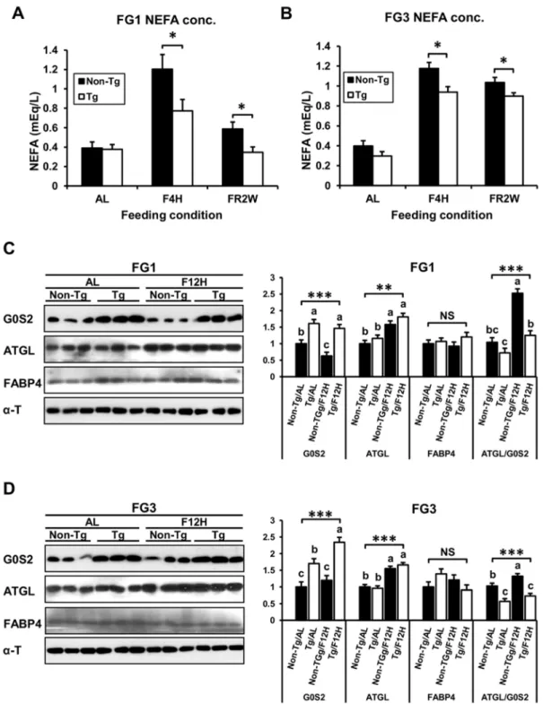 Figure 5. Blood NEFA levels and the expression of G0S2 and ATGL in fat tissues in different feeding conditions