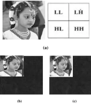 Figure 1. (a)  Decomposition of image using wavelet filters   (b) 2DDW Technique Decomposition  