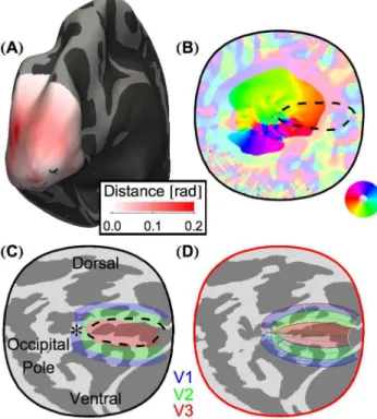 Figure 2. MSD simulation warps the flattened cortical surface to register data to the algebraic model