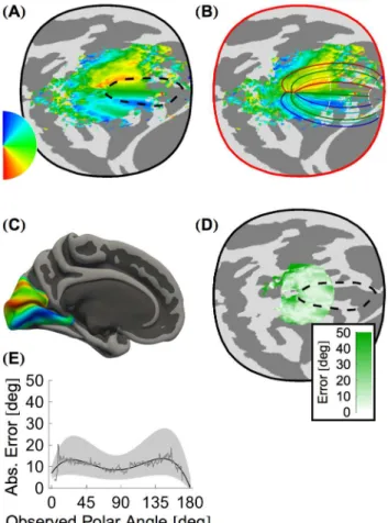 Fig. 4A presents the aggregate, confidence-weighted mean eccentricity of the 19 subjects in D 10 u 