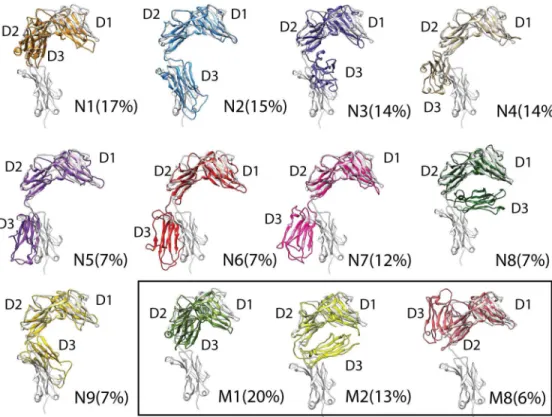 Fig 5. Conformations closest to the centroids of the cluster groups from mean shift cluster analysis.