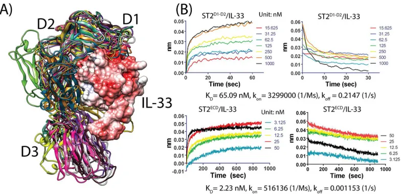 Fig 6. Alignment of the 12 representative conformations with ST2/IL-33 and the binding data of ST2 with IL-33