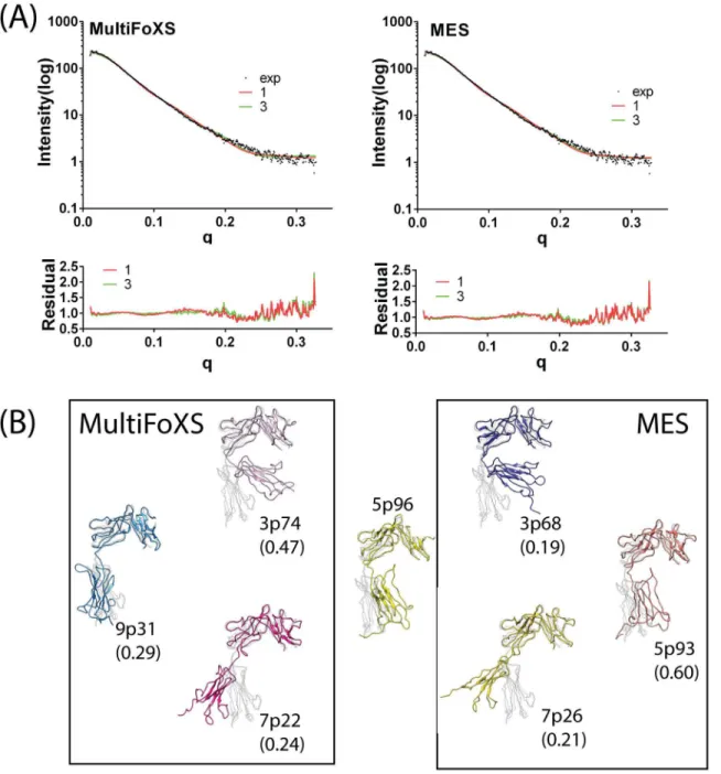 Fig 1. Models of ST2 fitted to the SAXS data using MultiFoXS and MES algorithms. (A) Fitting curves and residual plots of the 1-state and 3-state models based on MultiFoXS and MES