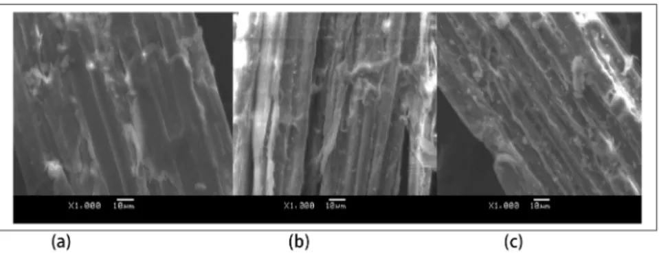 Table 4. Changes in surface area, pore volume and pore diameter of corn stover before and after LHW pretreatment.