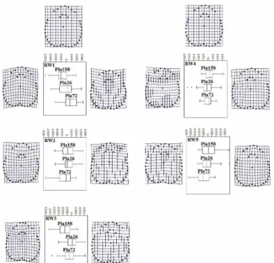 Figur e  5.  Sum m ar y  of  Landm ar k  based  geom et r ic  m orphom et r ic  analysis  show ing  t he  consensus  m or phology  ( upper m ost   panels)   and  t he  v ar iat ion  in  t he  shape  of  head  bet w een  Pla158,   Pla26  and  Pla72  populat
