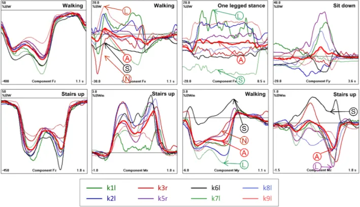 Figure 7. Load components with modest and strong inter-individual variations. Numbers are in %BW and %BWm (before normalization of the body weight to 75 kg to obtain the AVER75 loads)