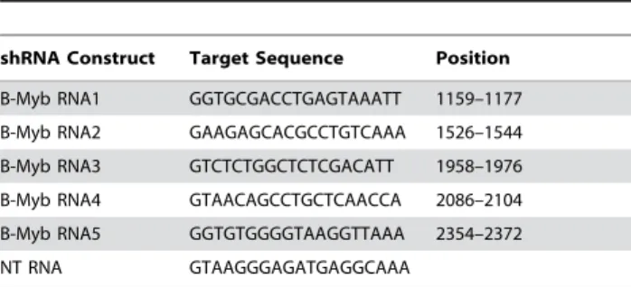 Table 1. shRNA sequences
