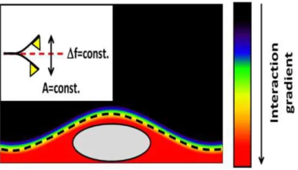 Figure 1 outlines the basic features of FM-AFM. A cantilever is oscillated at its resonance frequency, which changes as the tip approaches the surface due to the tip-sample interaction
