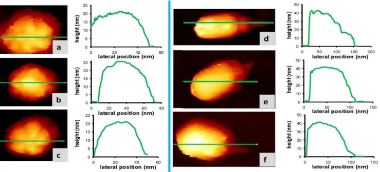 Figure 4. In liquid FM-AFM basis. (a) Experimental (solid line) and simulated (dashed line) average deflection (mean force) of the cantilever as the tip approaches the sample surface