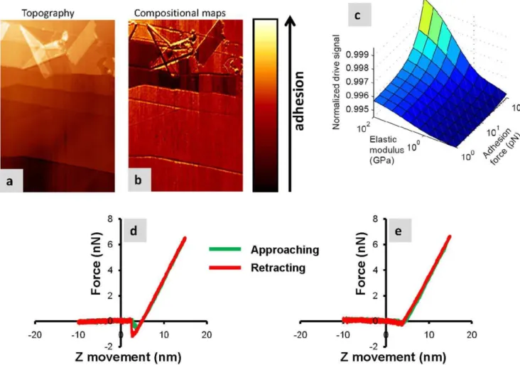 Figure 6a and d displays FM-AFM topographies, each of them with two MVM virus particles, adsorbed on a graphite substrate
