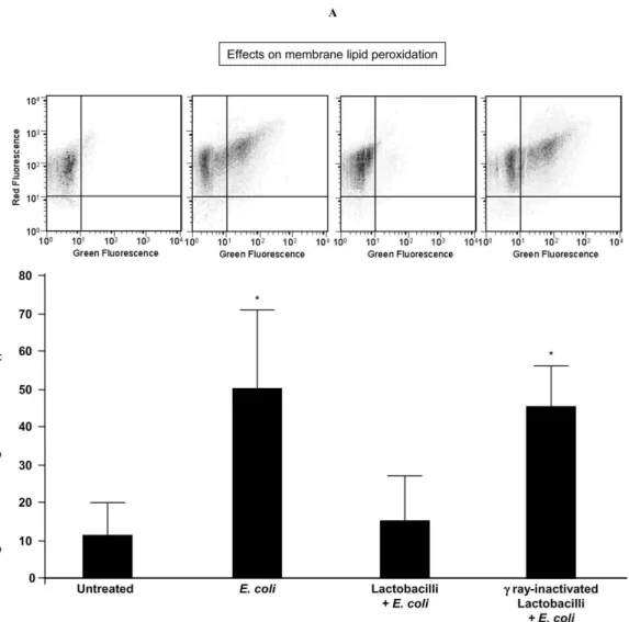 Figure 5.   Sperm lipid peroxidation induced by  E. coli soluble products and its prevention by lactobacilli
