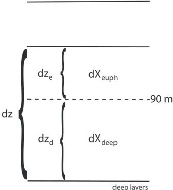 Fig. 1. Schematic diagramme illustrating the virtual split of the model layer containing the 90 m deep lower boundary of the euphotic zone