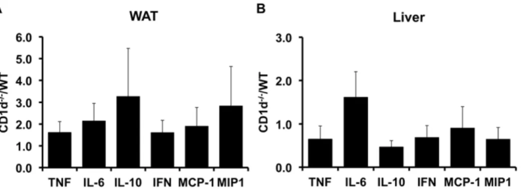 Figure 6. Inflammatory marker expression in adipose tissue and liver of wild-type and CD1d null mice