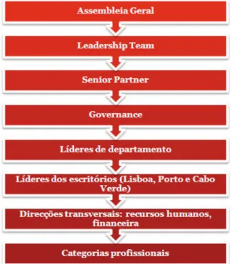 Figura 6 - Estrutura de Governação da Big4 Portugal