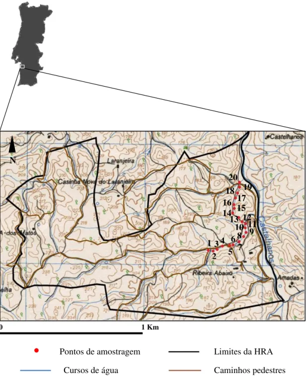 Figura 1 - Pormenor de Portugal com a localização da área de estudo e distribuição dos corpos de água  amostrados, na Herdade da Ribeira Abaixo, Grândola