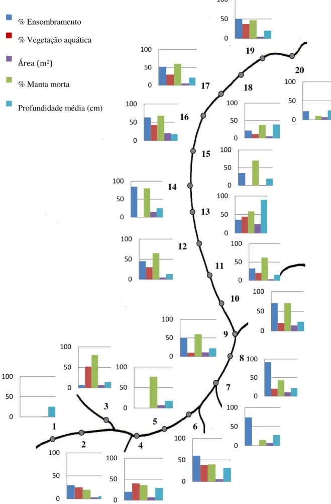 Figura 4 - Caracterização dos 20 pegos amostrados. Considerou-se o grau de ensombramento, % de  vegetação aquática, a % de manta morta, a área e a profundidade média