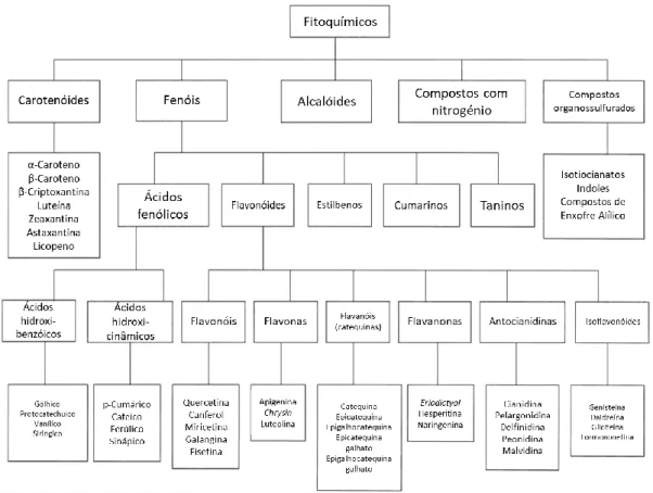 Figura i. 2 – Classificação compostos fenólicos. Adaptado de (Liu 2004) 