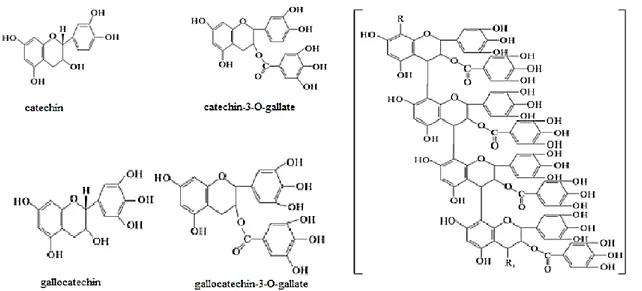 Figura  i.  4  -  Estruturas  químicas  dos  taninos  condensados  do  dióspiro  e  catequinas  relacionadas