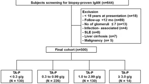 Figure 1. Flow chart of participants. Abbreviations: IgAN, Immunoglobulin A nephropathy; SLE, systemic lupus erythematosus; TA-P, time- time-averaged proteinuria.