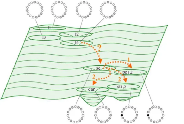Figure 7. Schematic representation of the epigenetic landscape generated by a stochastic exploration of the GRN for flower development