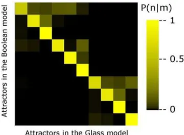 Figure 4. Changes in the basins of attraction of the continuous model with respect to the Boolean model