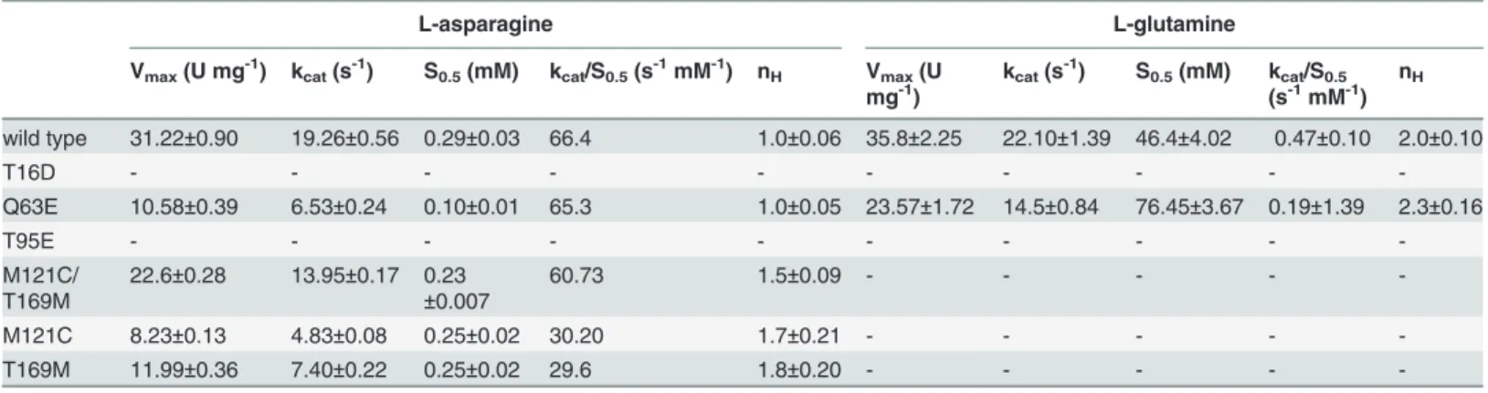 Table 3. Apparent kinetic constants of HpASNase wild type and mutant forms.