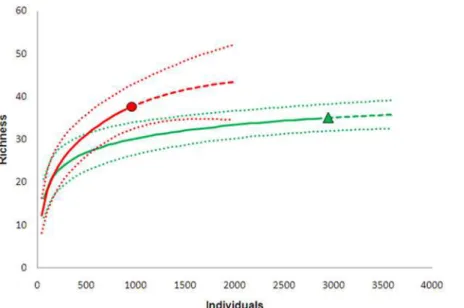 Fig 2. Individual-based interpolation (rarefaction; solid lines) and extrapolation (dashed lines) from reference samples from the two sampling sites (filled black circle = site A; filled gray triangle = site B) in Guapiaçu Ecological Reserve (REGUA) from a
