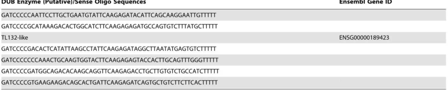 Figure S1 shRNAs affecting eIF3f level inhibit transla- transla-tion. U2OS cells were transfected with DE-encoding vector together with three increasing doses of sh eIF3f P1