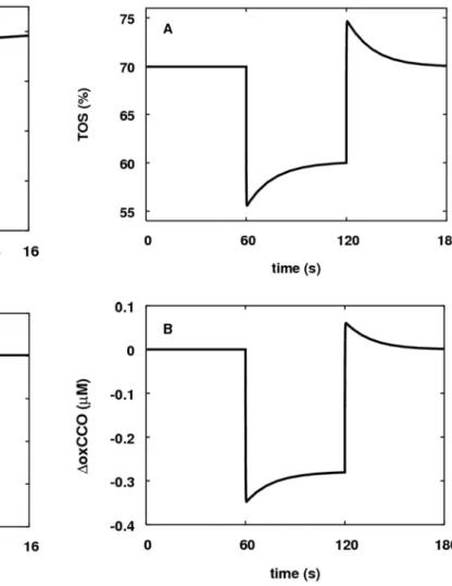 Figure 11. Model response of TOS and D oxCCO to a step down in arterial oxygen saturation