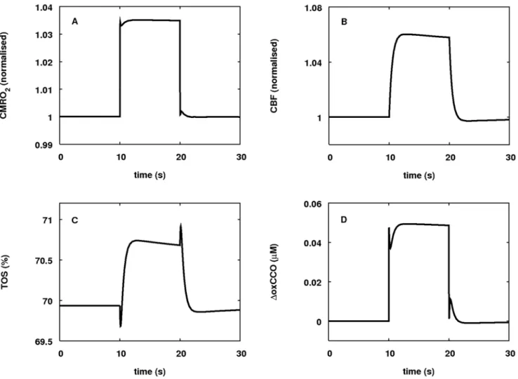 Figure 5. Model responses to a step up in demand. (A) Change in CMRO 2 (normalised). (B) Change in CBF (normalised)