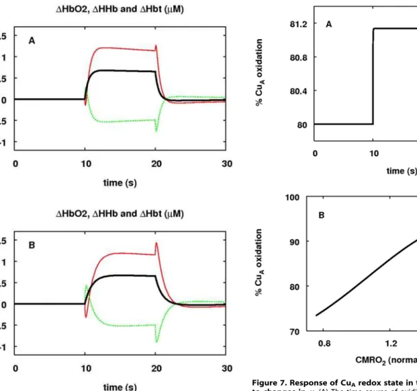 Figure 7. Response of Cu A redox state in the simplified model to changes in u . (A) The time course of oxidised Cu A in response to functional activation