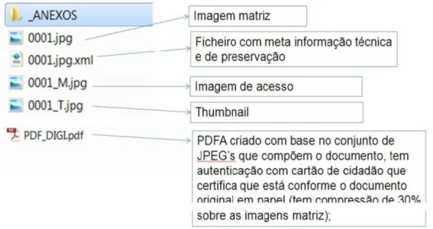 Fig. 5 - Formatos de ficheiros armazenados no repositório digital da CMP 