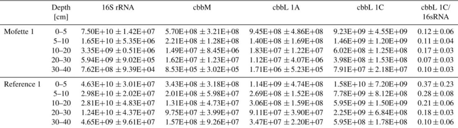 Table 3. Quantification of 16S RNA, cbbL, and cbbM marker genes. Uncertainties represent ± 1σ standard deviation (n = 3).