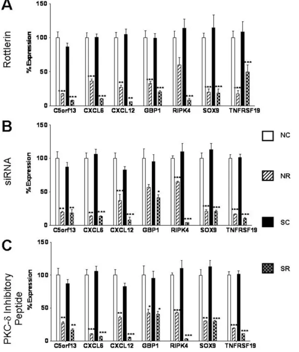 Figure 4. Validation of expression levels of downregulated genes following PKC- d inhibition