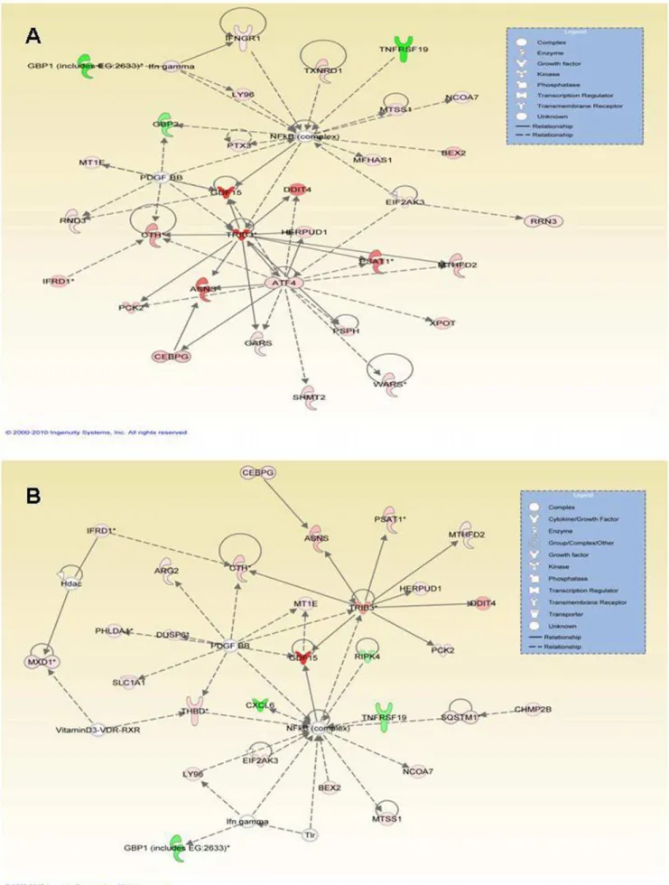 Figure 3. Functionally related gene networks constructed from the (A) normal untreated vs normal rottlerin-treated comparison or (B) SSc untreated vs SSc rottlerin-treated comparison