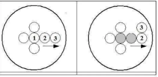 Figure 2 shows an example in 2-dimensional space. In the left picture, cell number 1 is about to divide, but all neighboring positions are occupied by other cells