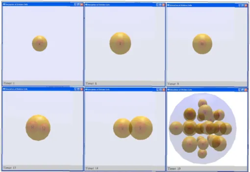 Figure 3: Visualisation of cell cycle by our tool
