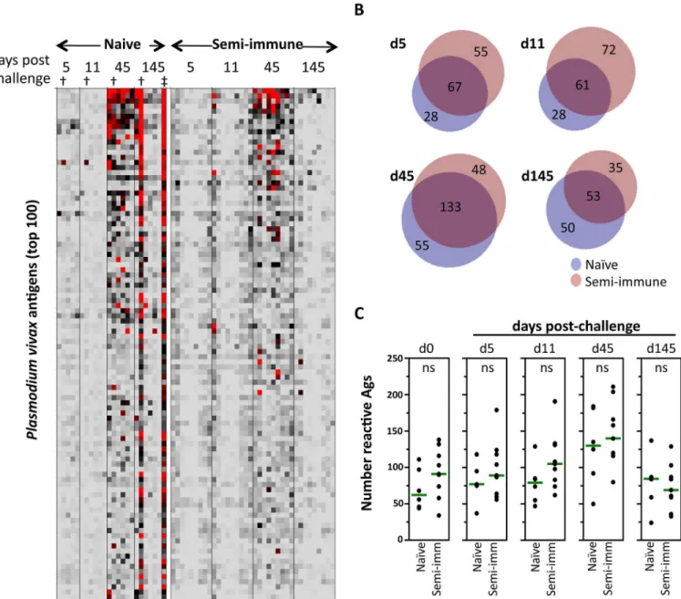 Fig 3. Antibody reactivity after challenge. A. Heat map of array data for all four post-challenge time points