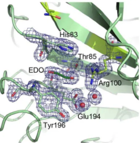 Figure 1 shows a sequence alignment of all currently known Cip1 homologs and the residues coordinating the calcium ion are marked in yellow.