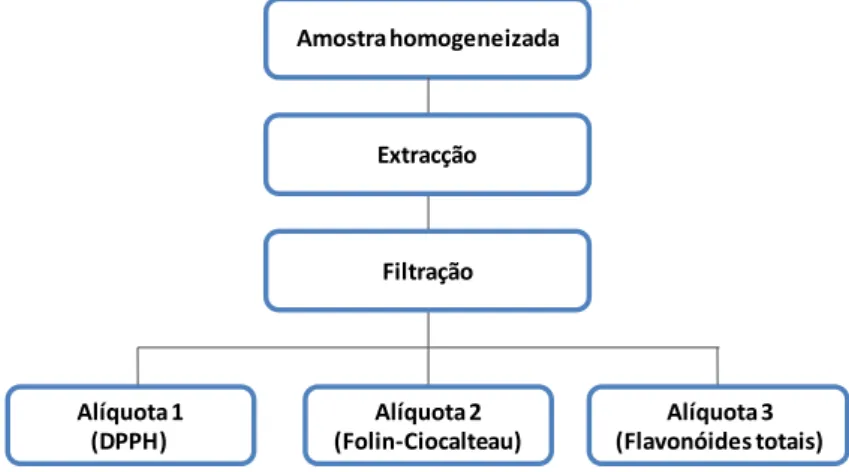 Figura  10.  Metodologia  aplicada  para  a  determinação  da  atividade  antioxidante nos cultivares de anona (Annona cherimola Mill.) analisados