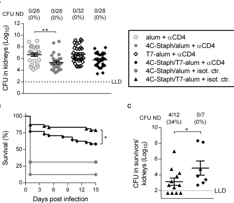 Fig 5. One dose of 4C-Staph/T7-alum vaccine induces protective CD4 + effector T cells
