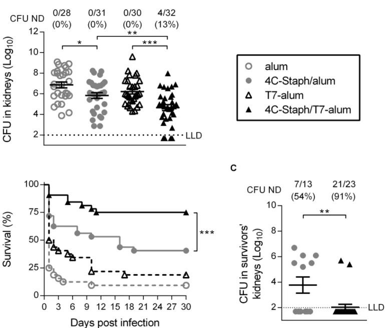 Fig 1. One dose of 4C-Staph/T7-alum vaccine protects better than 4C-Staph/alum in kidney abscess and peritonitis models of S