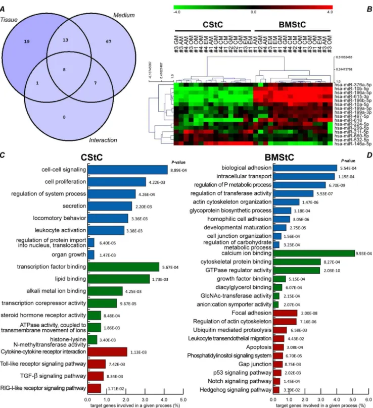Figure 3. miR tissue signature and its potential functional implications. ( A ) A Venn diagram of the 115 significantly modulated miRs helps indentifying those exclusively affected by the tissue of origin (upper left segment) or by one or more differentiat