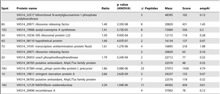 Table 3. UVB protein biomarkers of P. angustum quantified by both ICPL and 2D-DIGE.