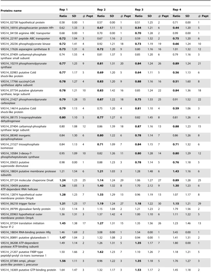 Table 1. List of the quantified proteins in four biological replicates using the post-digest ICPL labeling methodology.