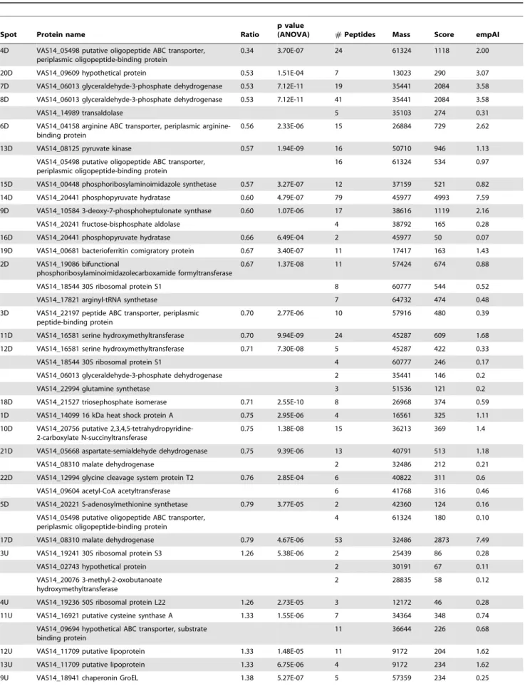 Table 2. Identification of the two-dimensionally separated protein spots of interest with the average fold change and associated p-values obtained from seven replicates.