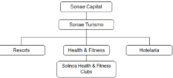 Figura 3. Áreas de Negócio Sonae Turismo.